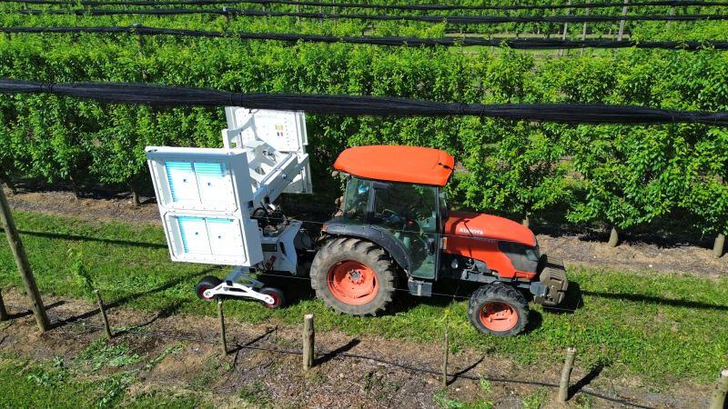 UV Boosting has developed “UV flash” technology that exposes crops to short-wavelength ultraviolet light, stimulating natural plant defence mechanisms.