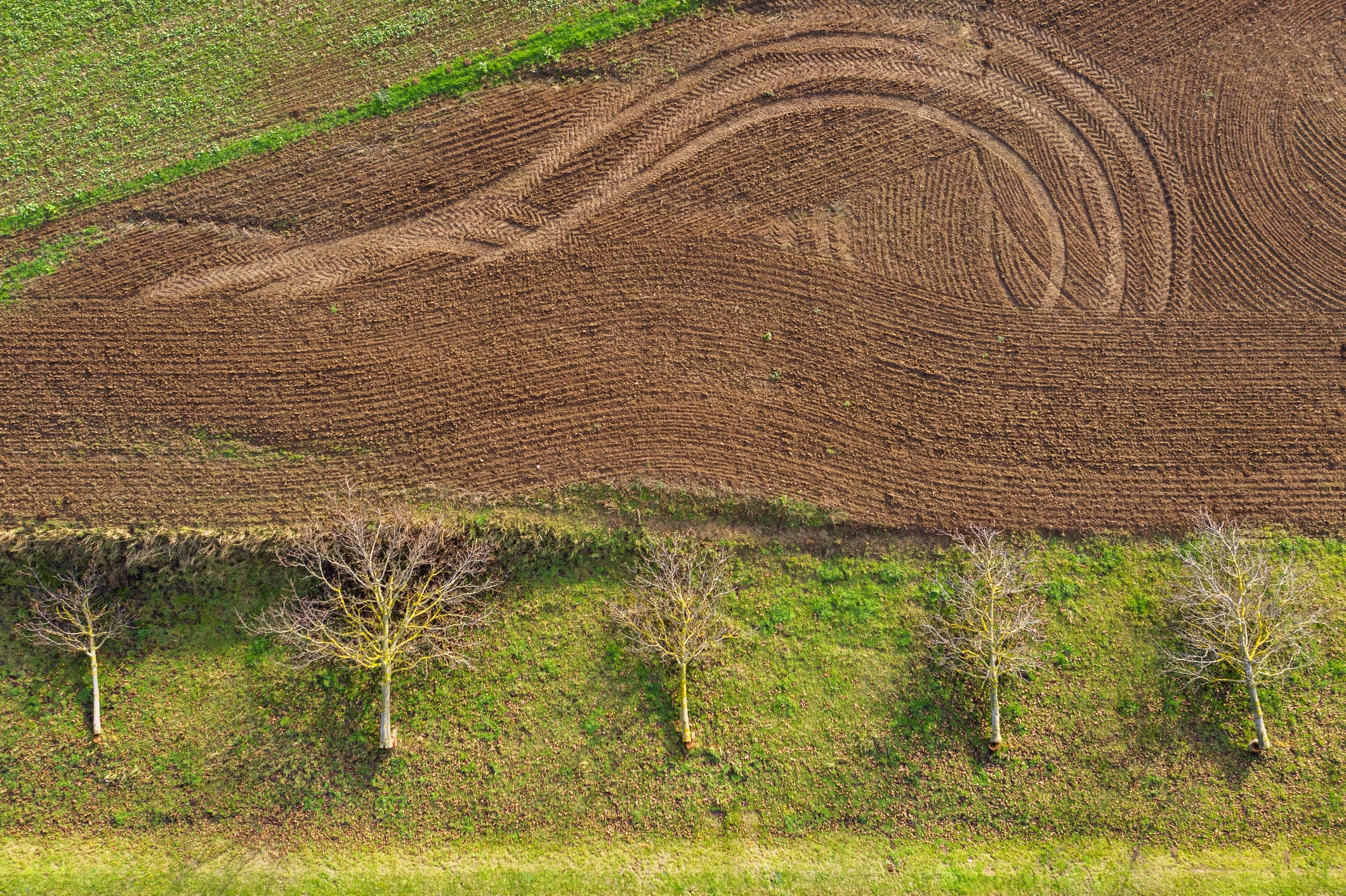 Lithuanian soil carbon deal aims to catalyse regenerative farming across Europe