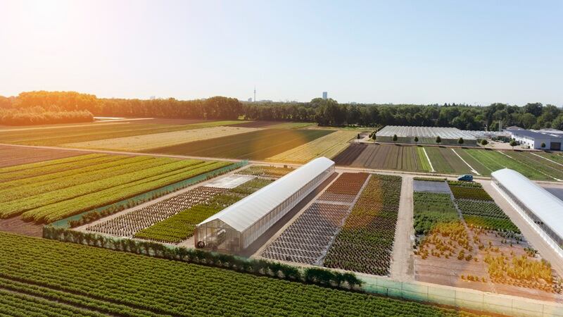 Hybrid or hype? Why a one-size-fits-all approach doesn’t work for indoor ag