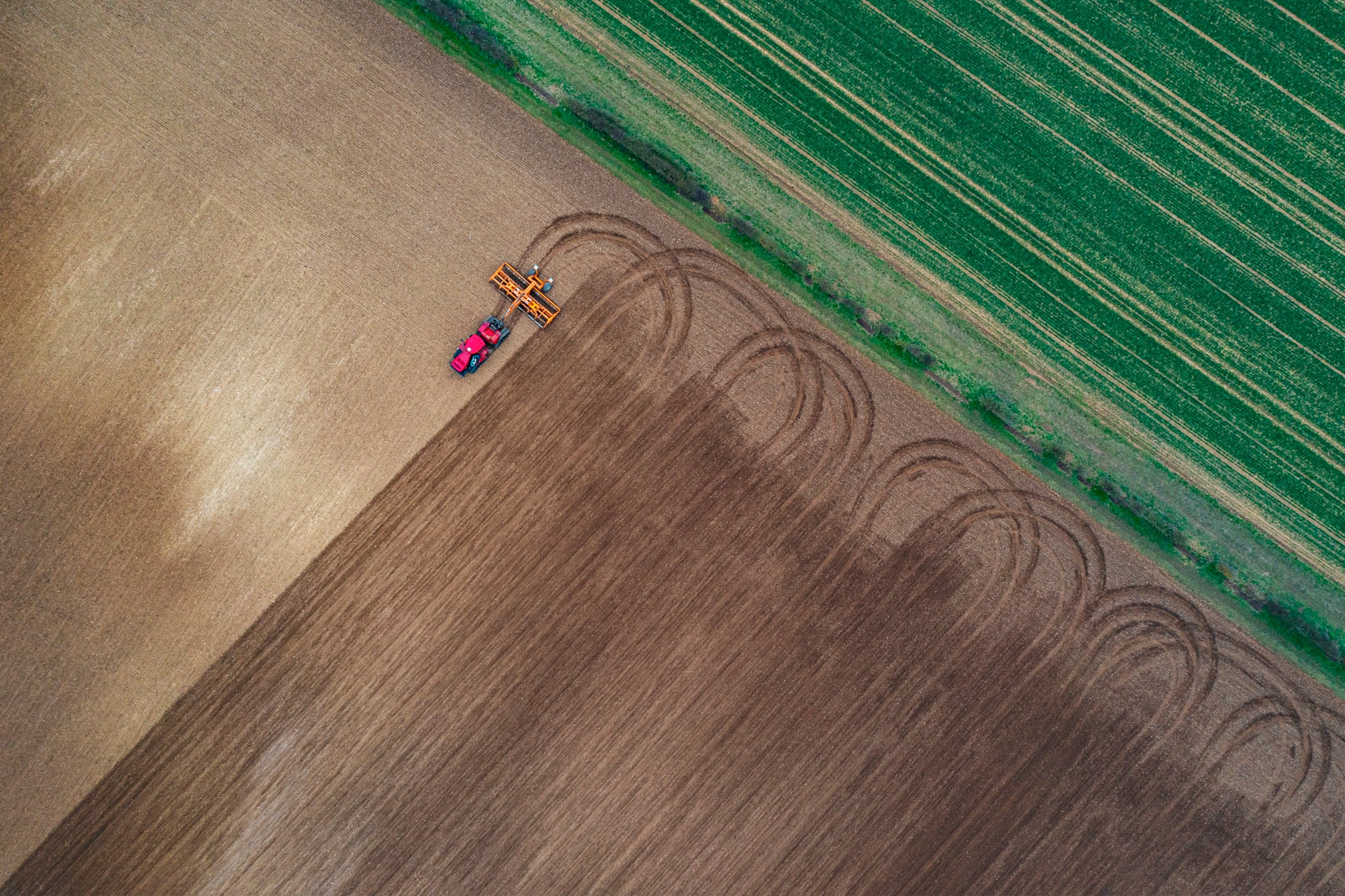 UK unveils first PFAS strategy as scientists warn soil contamination is poorly understood