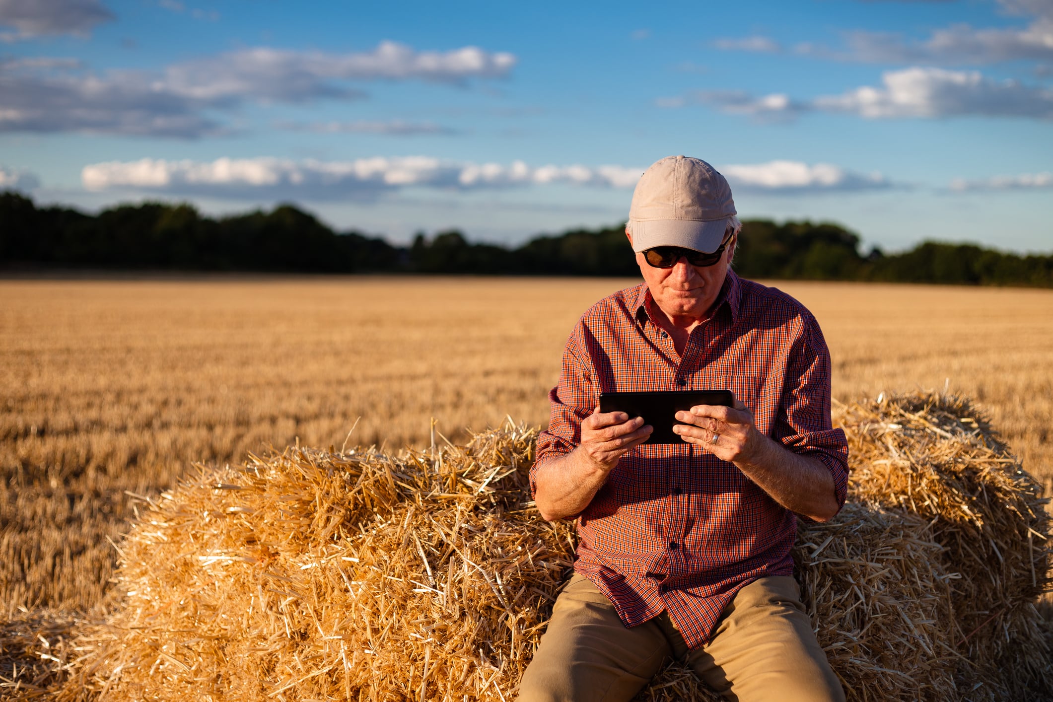 European Digital Innovation Hubs: Why agri-food is missing out on the digital revolution