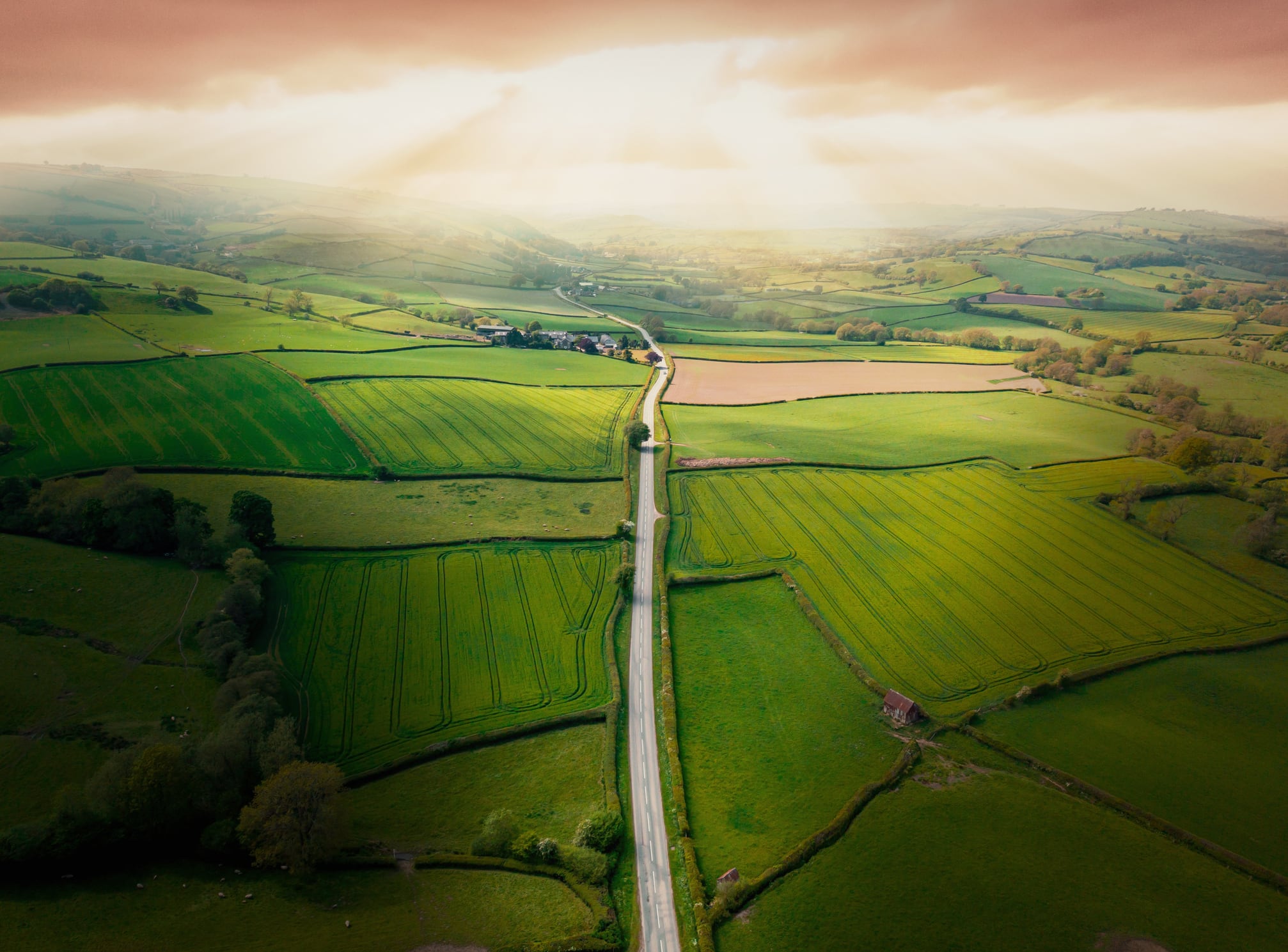 £1.6bn boost: McCain‑backed report says sustainable farming could transform UK farm profits by 2035