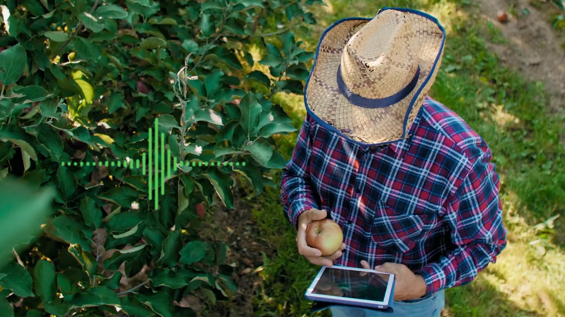 Farm-level intelligence: Innov8.ag helps growers make sense of data with HarvestReplay