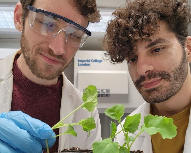 RemePhy's founders Franklin Keck, left, and Ion Ioannou.