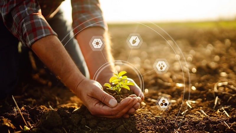 Fertile but fragile: Soil study of two key Indian agricultural regions reveals vast potential and critical vulnerabilities