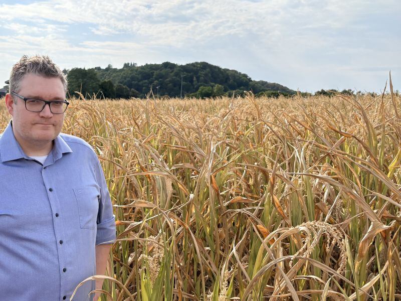“This summer’s drought has shown how quickly the climate challenge is evolving,” said Dr Sebastian J. Schultheiss, co-founder and CEO of Computomics after its Series B fundraise. “Breeders need to know today which varieties will succeed tomorrow, and this funding helps us bring that capability to scale.”