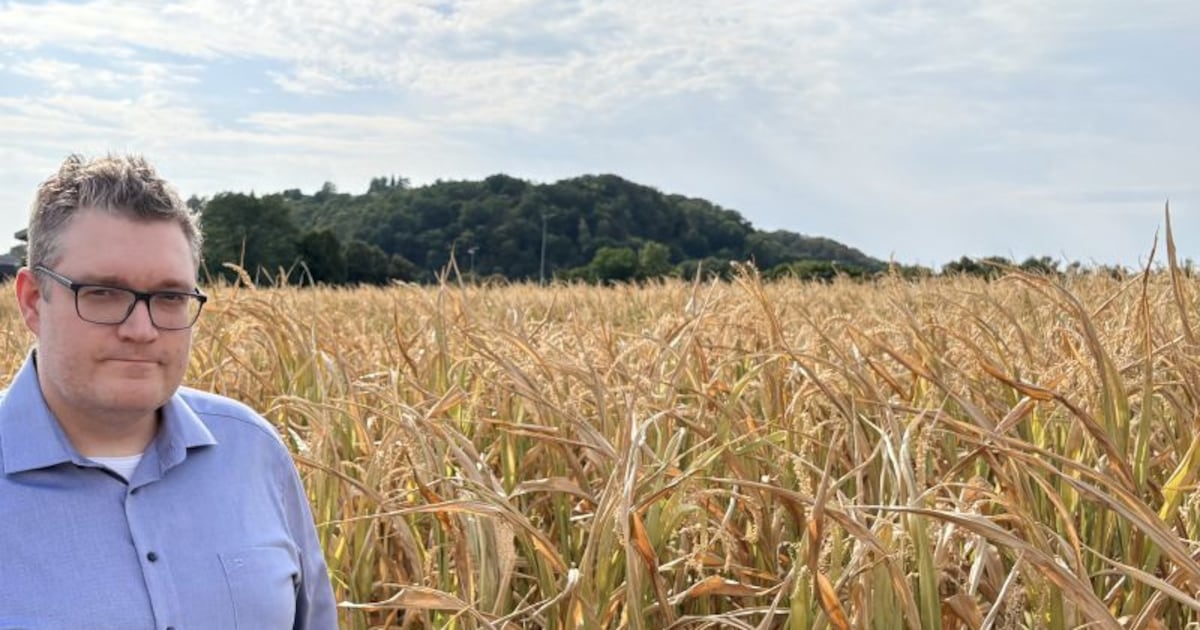 Computomics lands €6.3m as European drought exposes crop breeding’s climate challenge
