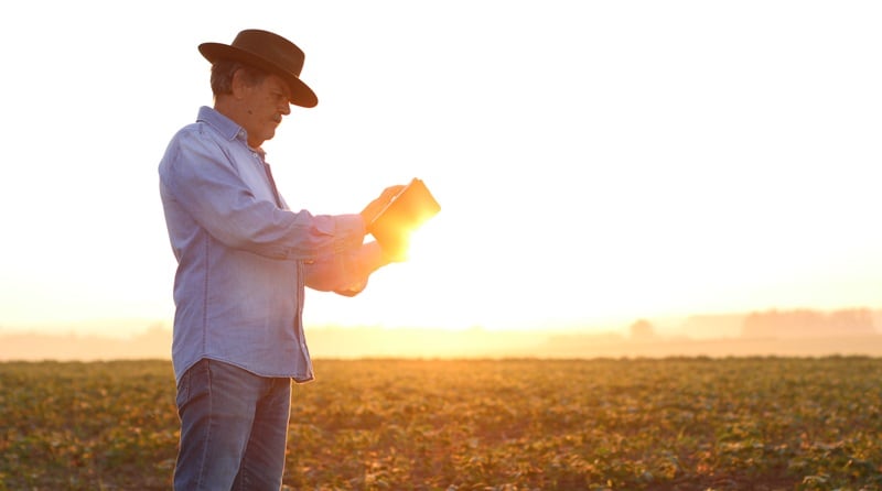 Investing in Brazil: How COP30 put the country’s ag sector ‘on the map’ in 2025