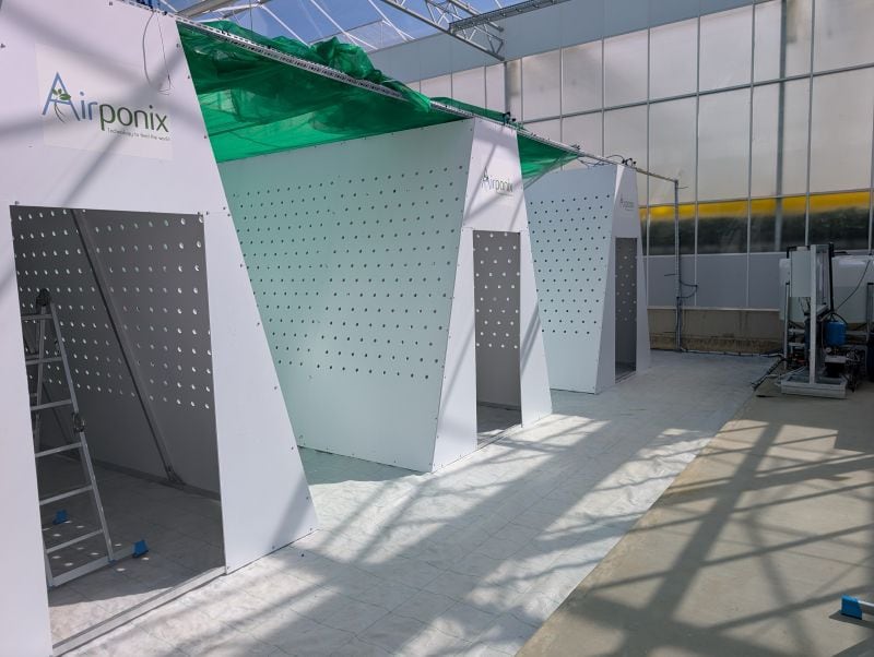Airponix and Dyson Farming target England’s seed potato gap with fog-based growing system