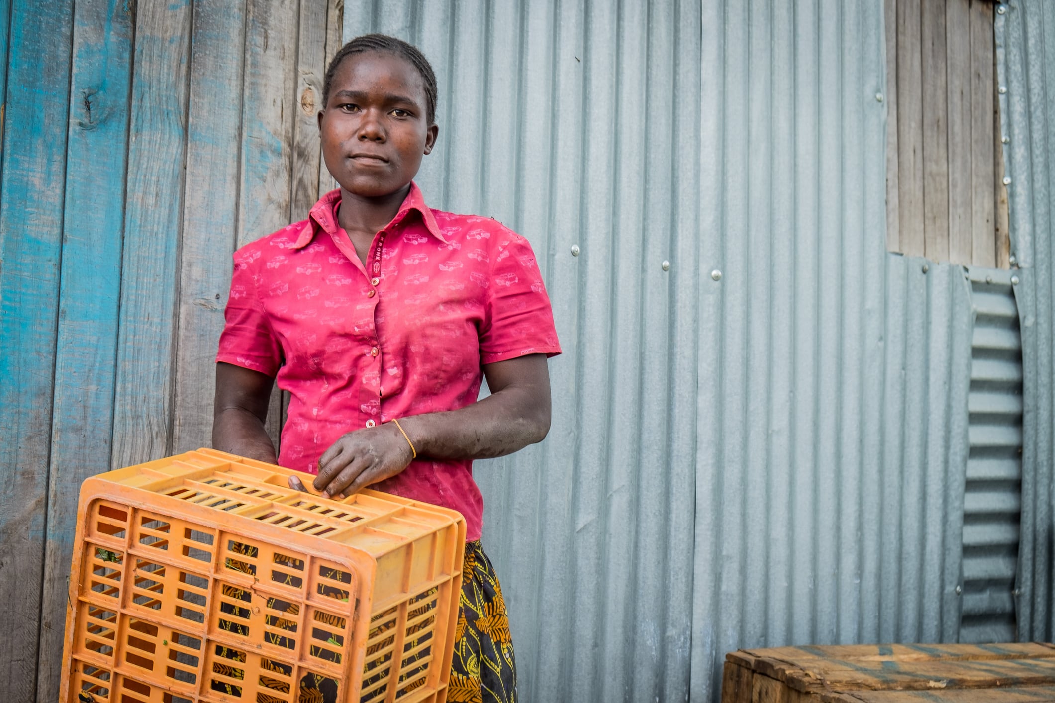 World Bank‑hosted fund unveils $38m boost for smallholder farmers in drive to tackle food insecurity