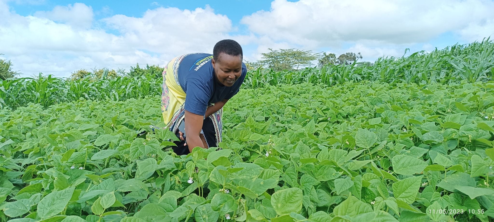 Underscoring the impact of sustainable ag? Climate tech company scoops TIME100 honour