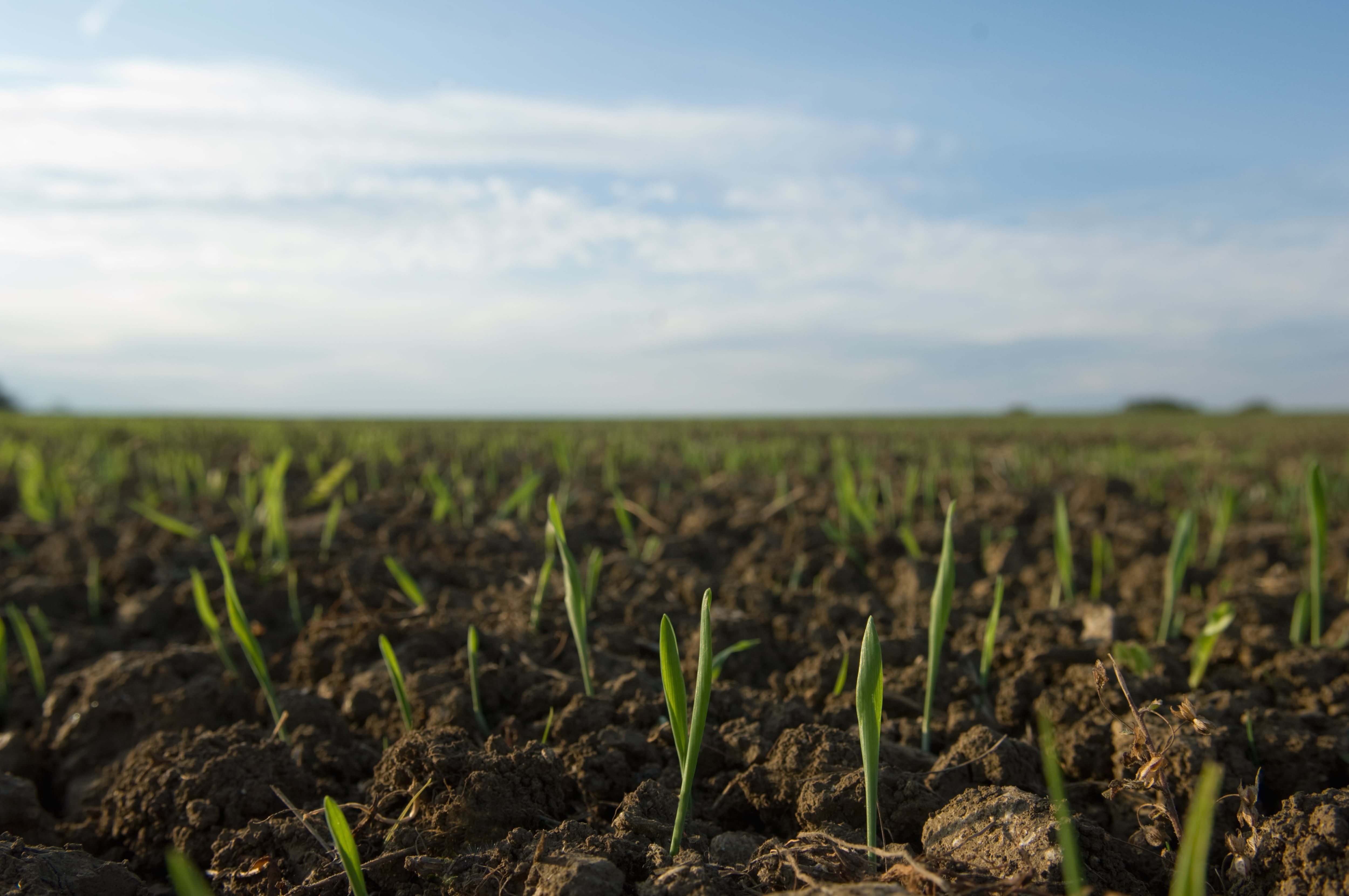 Can the AgList launch cure the scepticism surrounding biologicals?