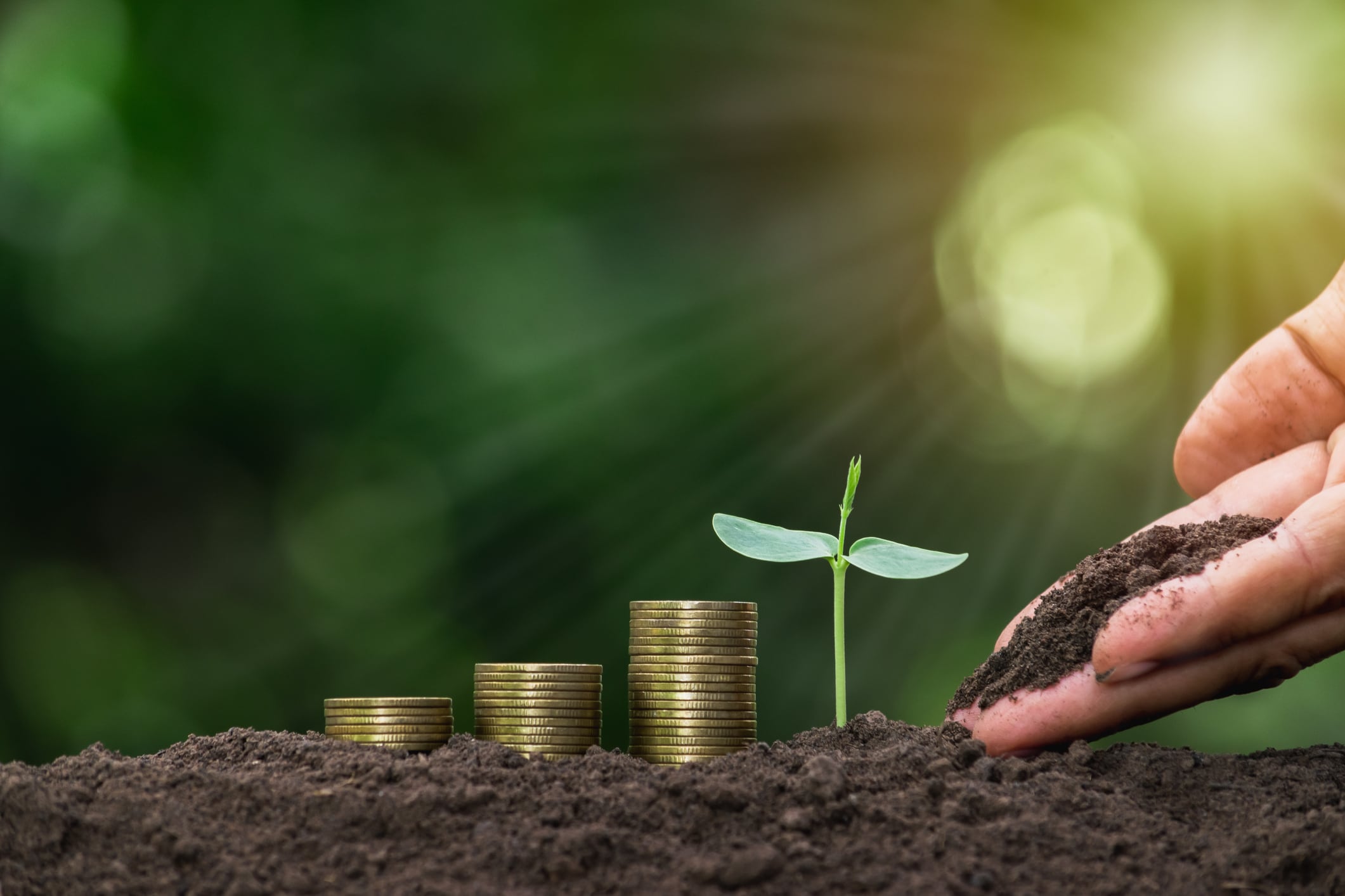Shaping outcomes: Funding differences steer agtech development across emerging markets