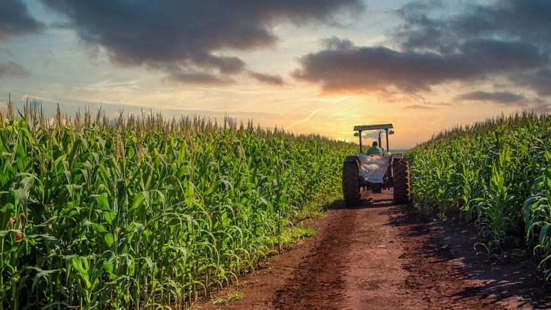 A tractor in a corn field in Brazil