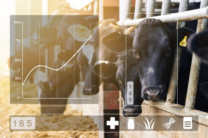Connecterra looks to transform dairy farming through the use of AI, signs agreement with Fonterra