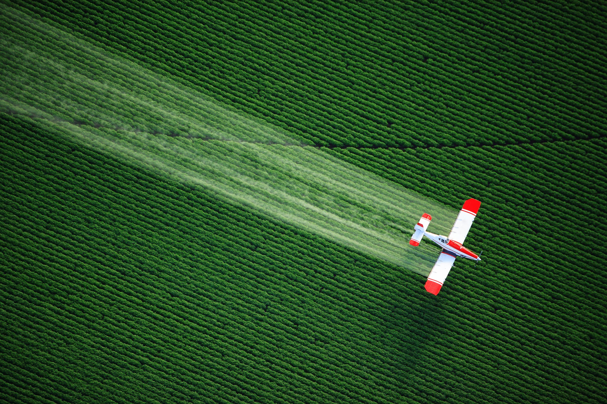 Biopesticides on the rise: Pamela Marrone maps the future of sustainable crop protection
