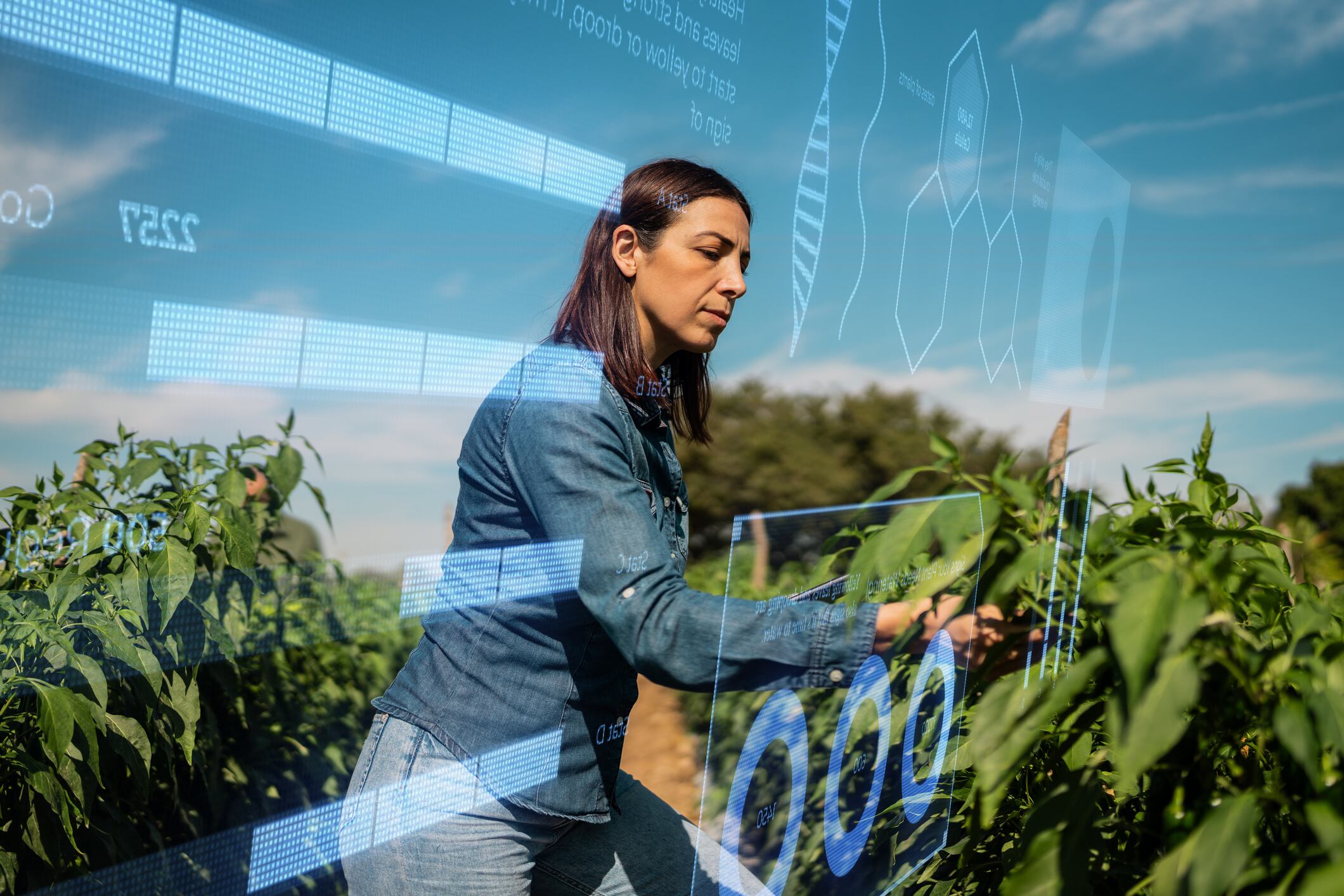 Biographica and Hudson River Biotechnology are combining computational biology, genome editing and plant regeneration to help breeders tackle crop traits that have proved difficult to crack.