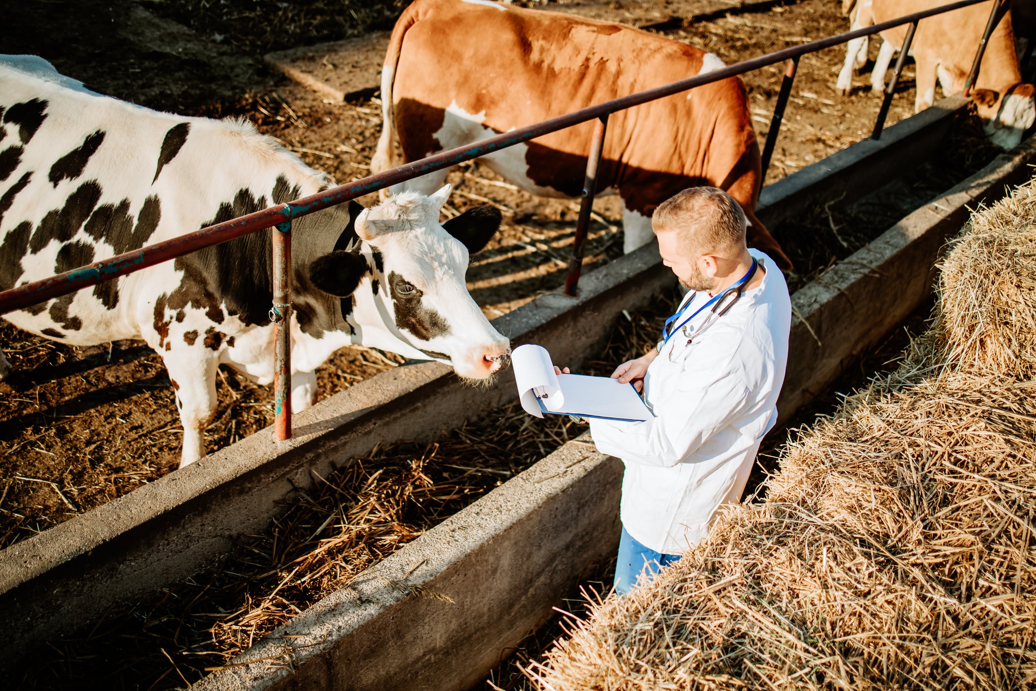 Animal health: What’s fuelling innovation amid escalating threats to health and safety