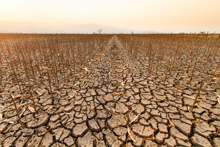 Early warning systems eliminate hunger – so why the lack of investment?