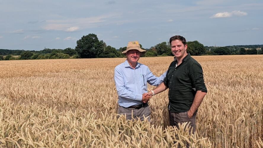 Bill Angus, founder and director of F1 Seed Ltd (left) and Ross Hendron, co-founder and CEO of Wild Bio (right) standing in one of Bill’s plot trials in Suffolk. Wild Bio now could test whether an independent, UK-based company can successfully control the entire journey from AI-driven trait discovery to the sale of commercial wheat seed.