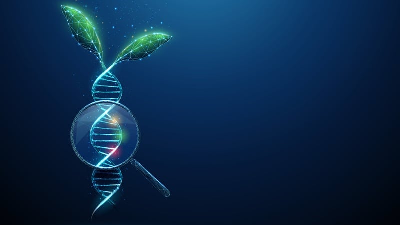 Searching for genes in a plant