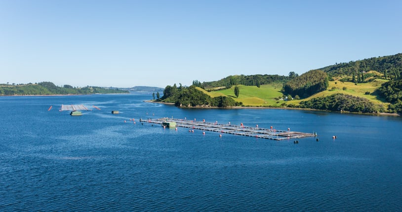 Reduction fisheries: Management failings thwart sustainability improvements