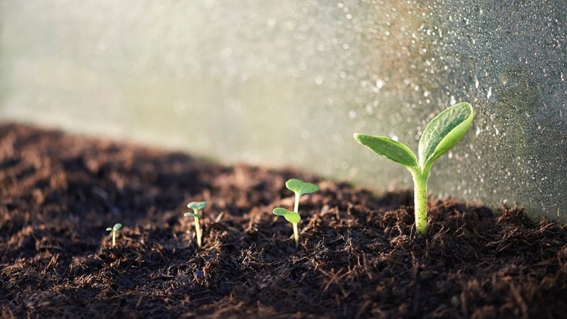 Boosting regen ag: AARL reports $9bn in commitments to restore lands, support farmers