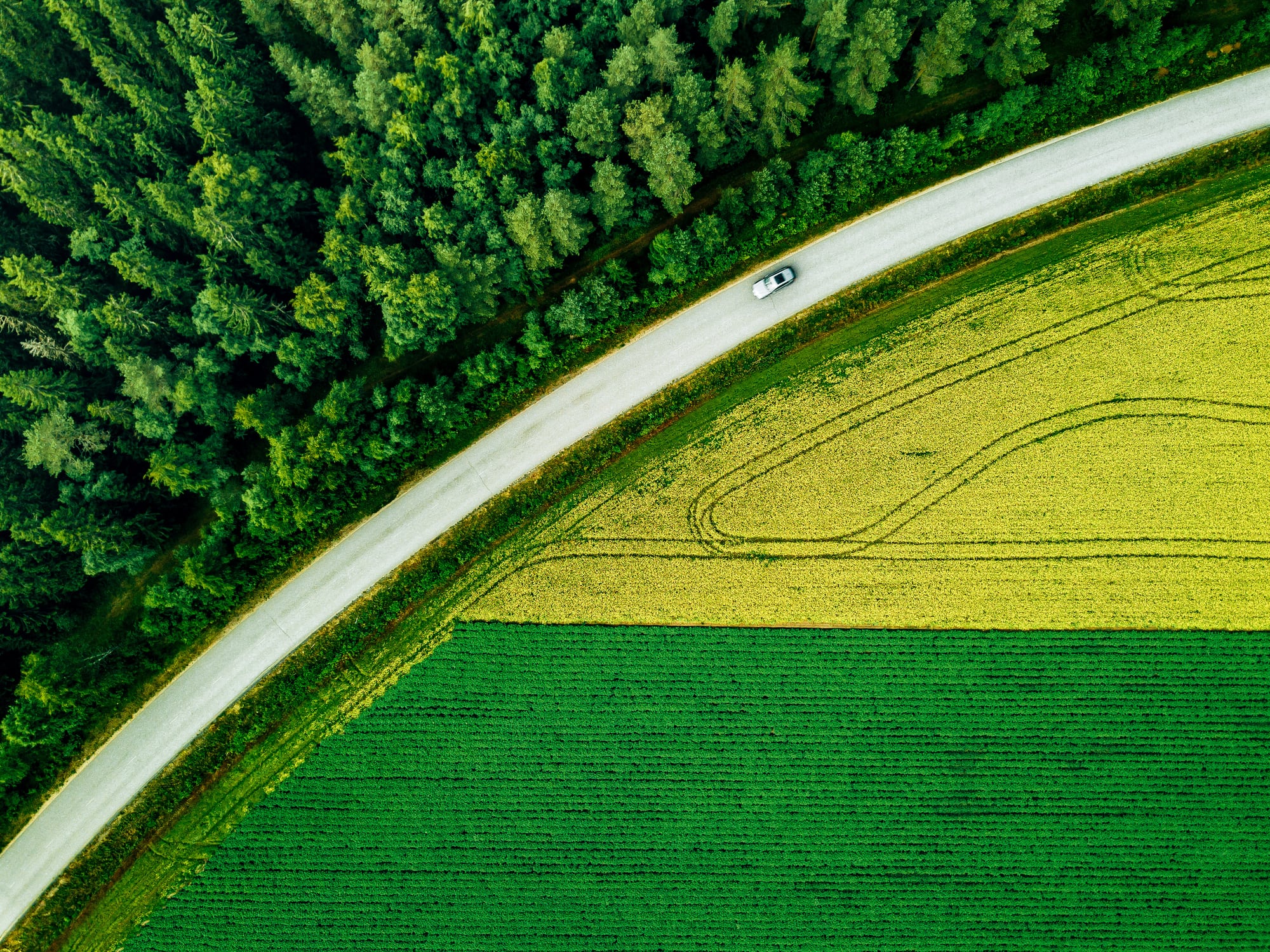 ‘It’s not easy out there, but there is capital’: Nordic Foodtech VC celebrates €40 million fund raise