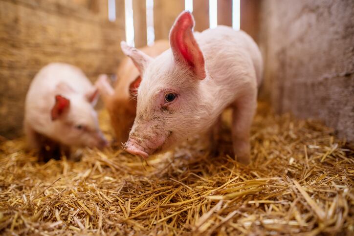 Investors-plough-over-16m-into-proteobiotics-developer.jpg