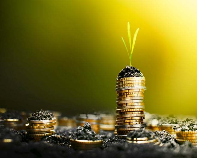 Why the agtech market is ‘primed to thrive’ in 2024: investor