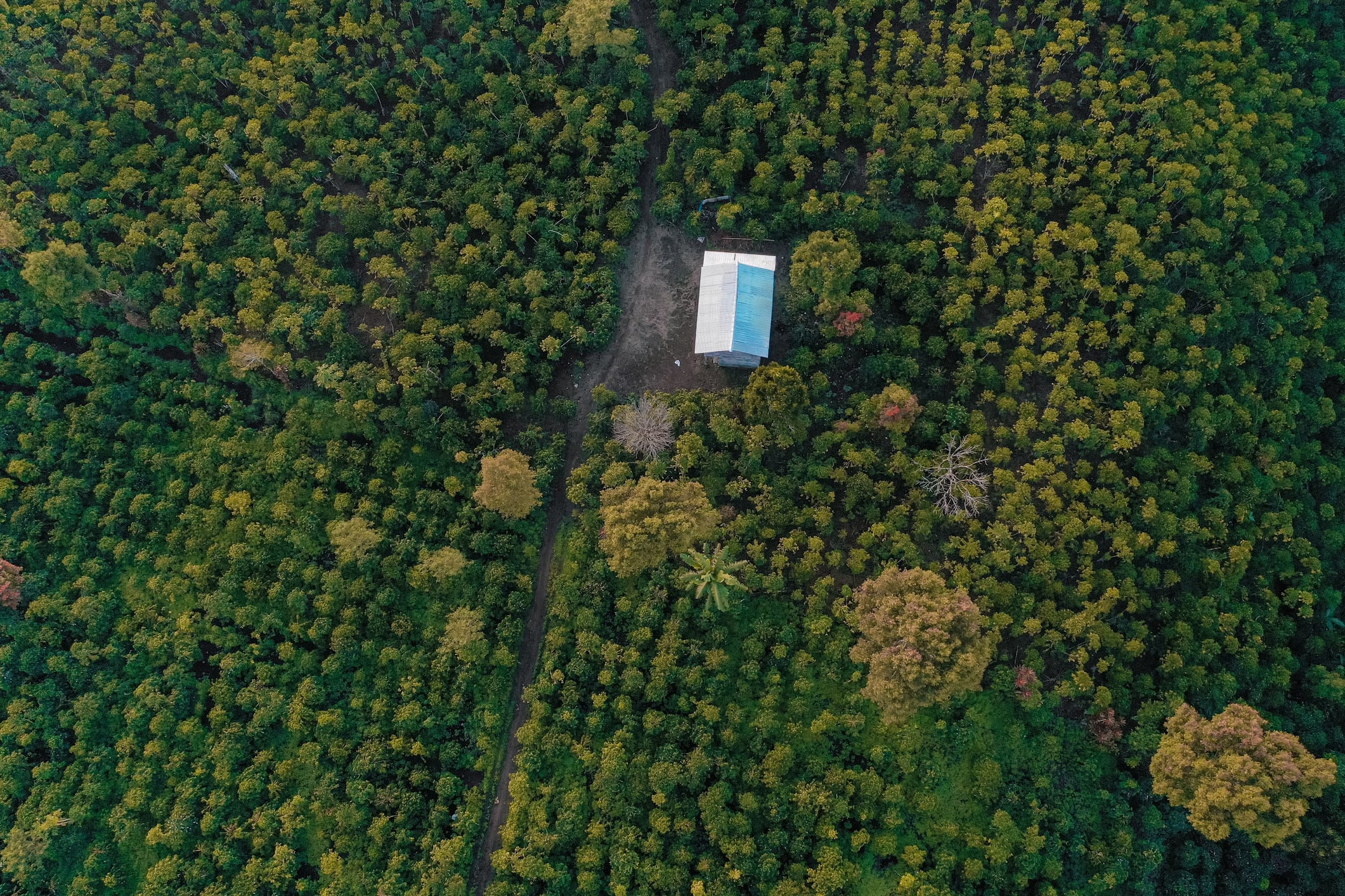 Cotierra converts coffee waste into biochar to improve soil and crop health, reduce fertiliser use and emissions, and uses IoT technology to track its production and application.