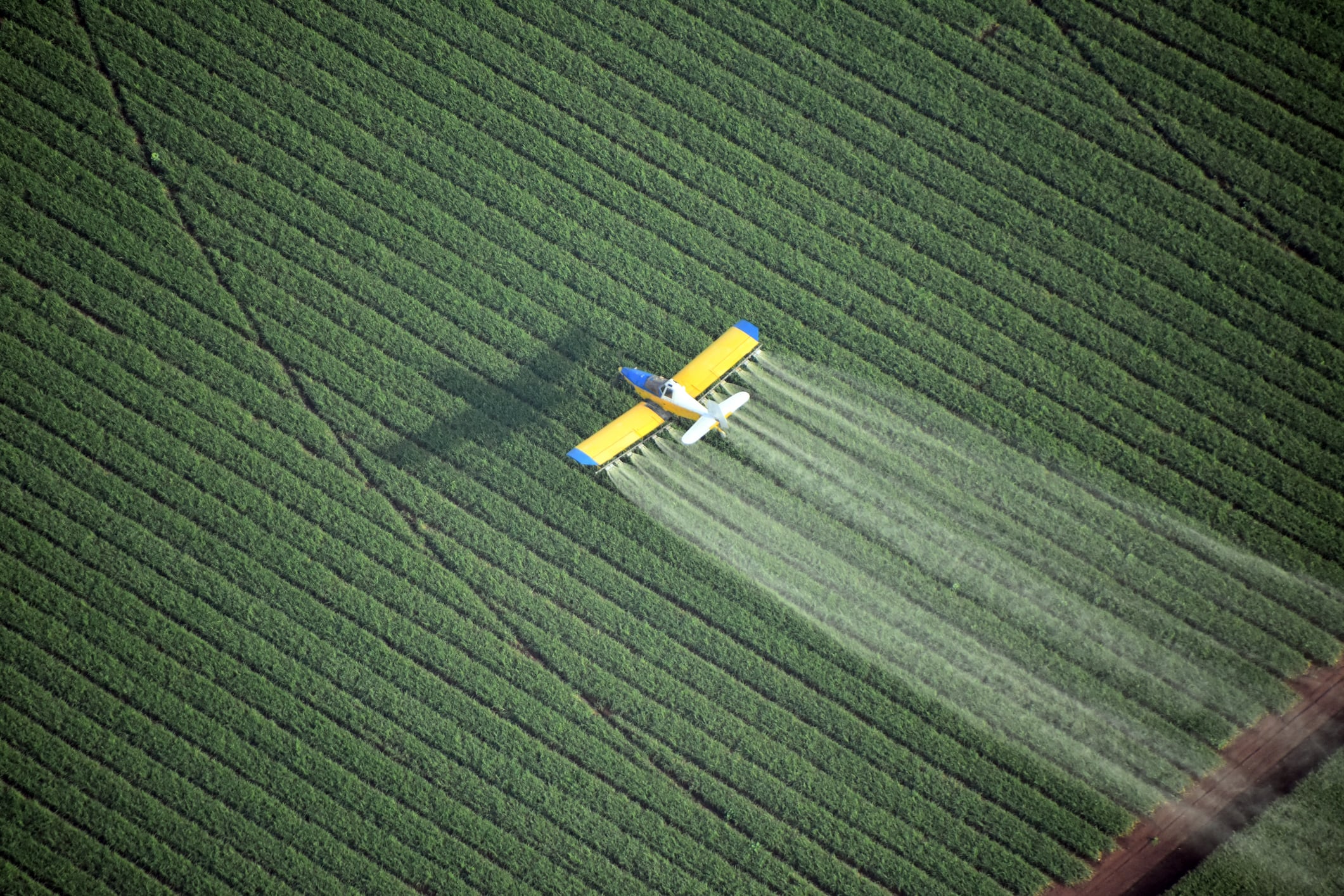 Bayer unveils first new herbicide mode of action in over 30 years