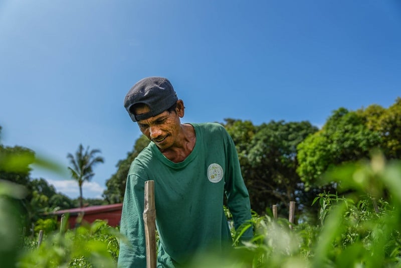 Agricultural credit unveiled in Philippines to bridge US$6 billion agri-credit gap