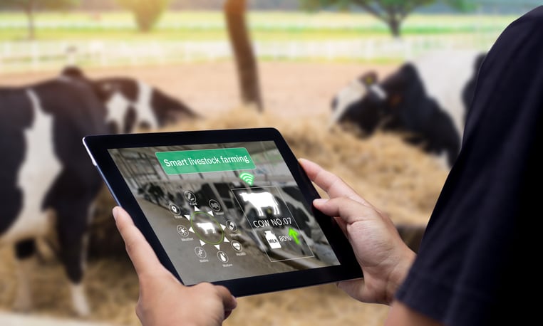 Cargill and ZELP align to tackle methane emissions in the dairy industry