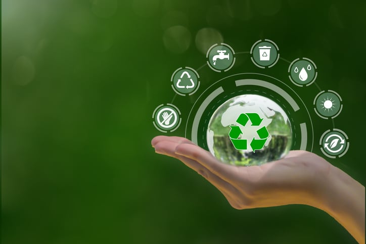 Africa: Female founder flags circular feed potential of insect production