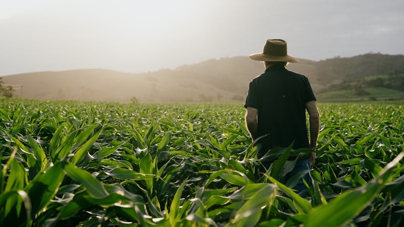 Is the future of ag Brazilian? How the country provides fertile ground for farming innovation