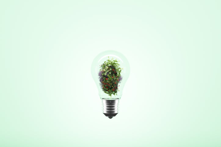 Agri Trend Tracker: From IGS’s pledge to revolutionise vertical farming to the 'world’s first' sensor for remote crop monitoring