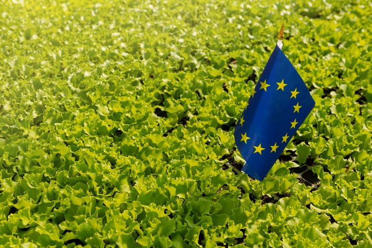 Imprecise targets, limited monitoring prevent EU agriculture sector from achieving environmental targets