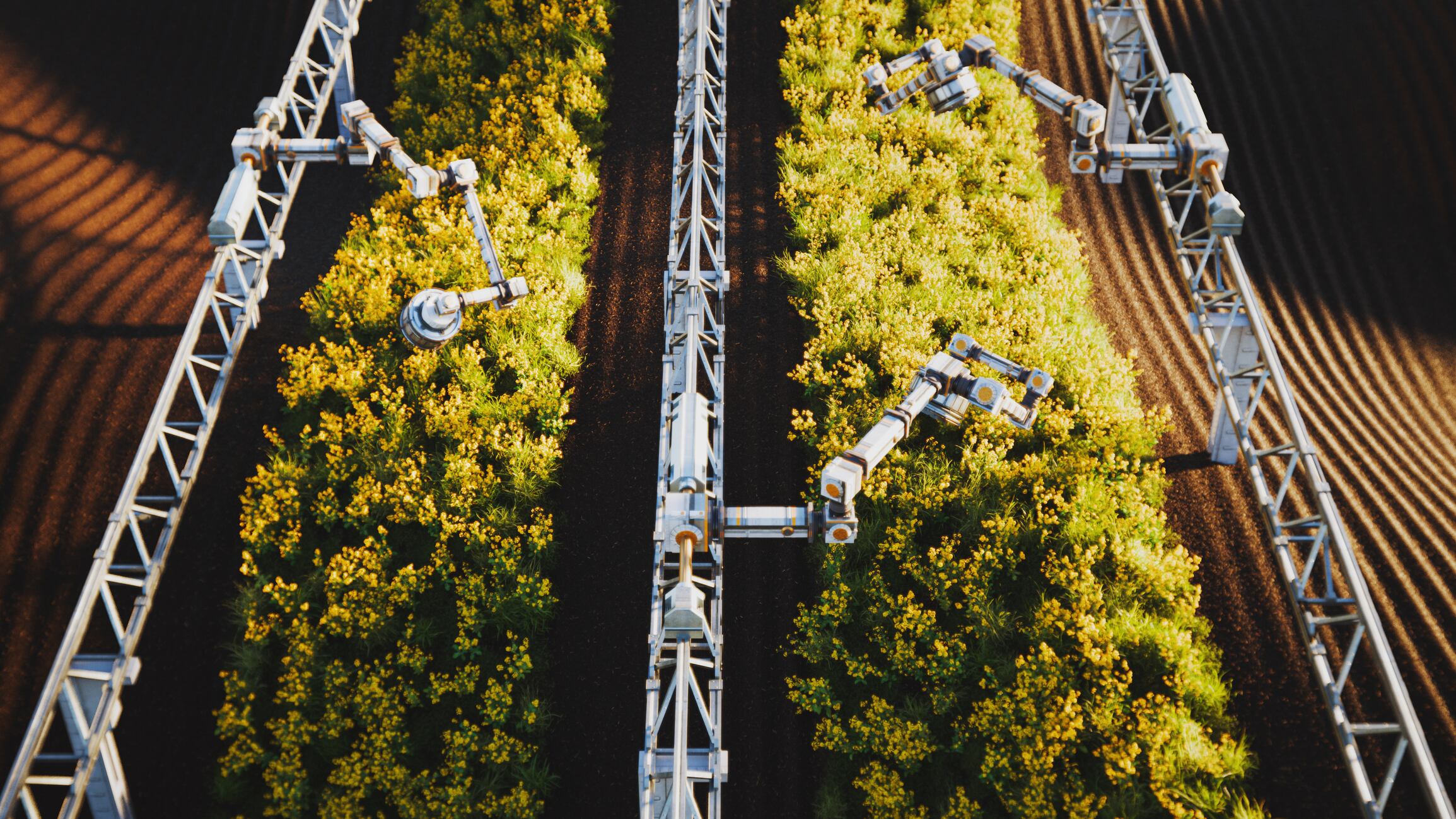 Eatable Adventures' new NOVO Agrifoodtech programme aims to accelerate the adoption of AI, robotics and other deep technologies in agriculture and food production.