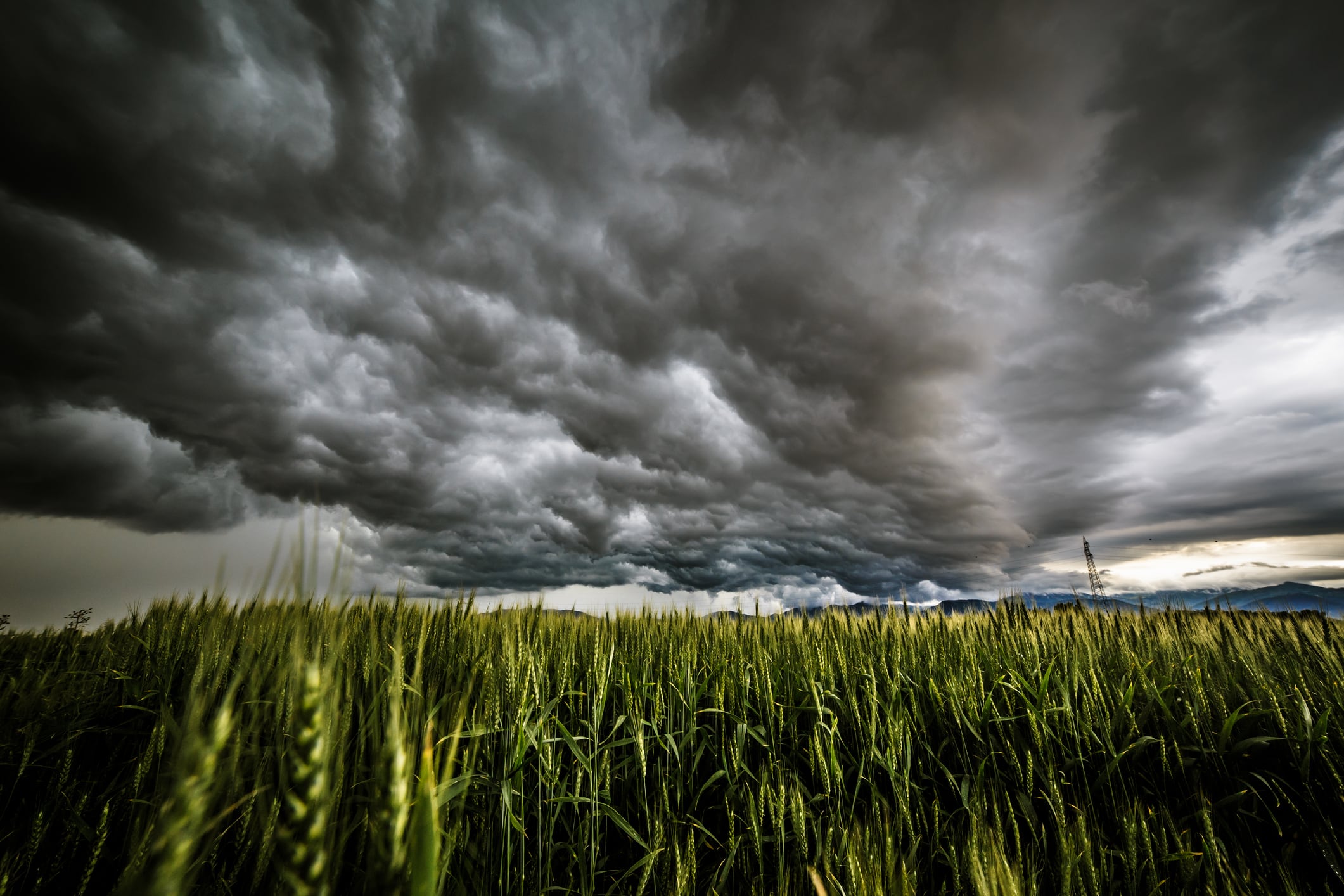 ‘Satellite data is a climate action gold mine:’ GreenAnt’s AI mines radar data to predict floods and boost yields
