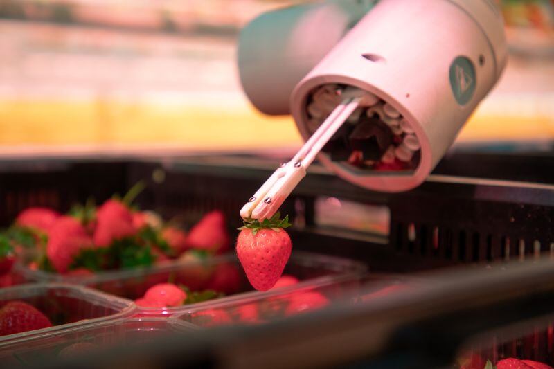 Dogtooth designs “dexterous” harvesting robots capable of autonomously identifying and picking delicate crops such as strawberries.