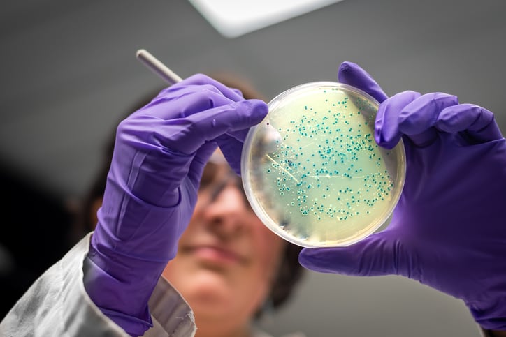 Alltech study: Yeast cell wall fraction reduces resistant populations and enhances antibiotic effectiveness