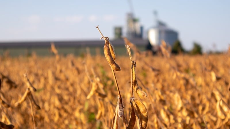 Corteva to capitalize on shift from corn to soybean acres in US, biological growth in Brazil 