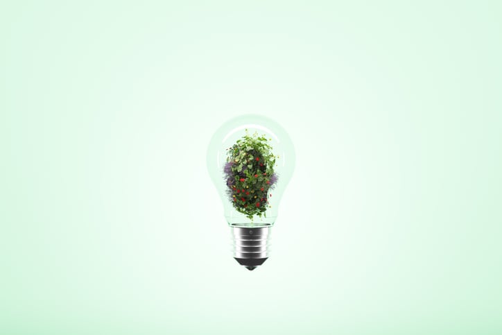 The future of EU agriculture: 14 key recommendations unveiled