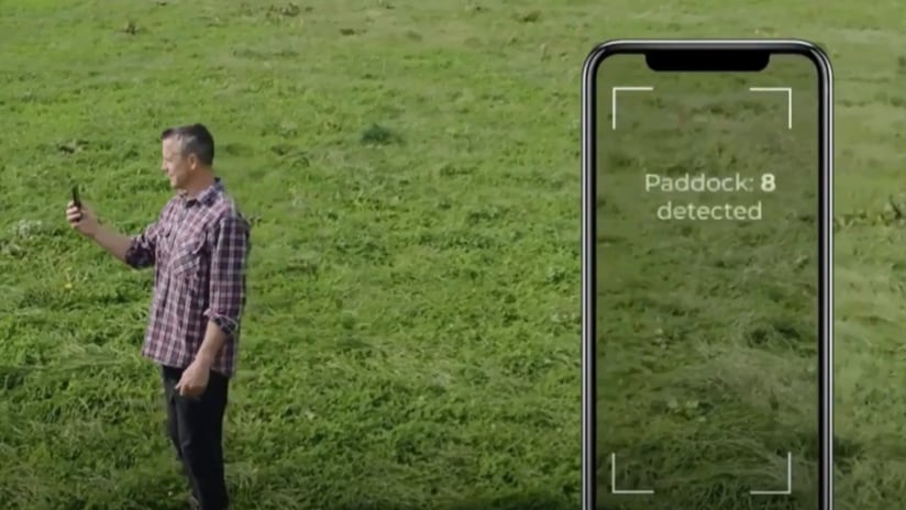 Profiting from pasture: AIMER seeks to maximise returns for dairy farmers with precision tech and AI