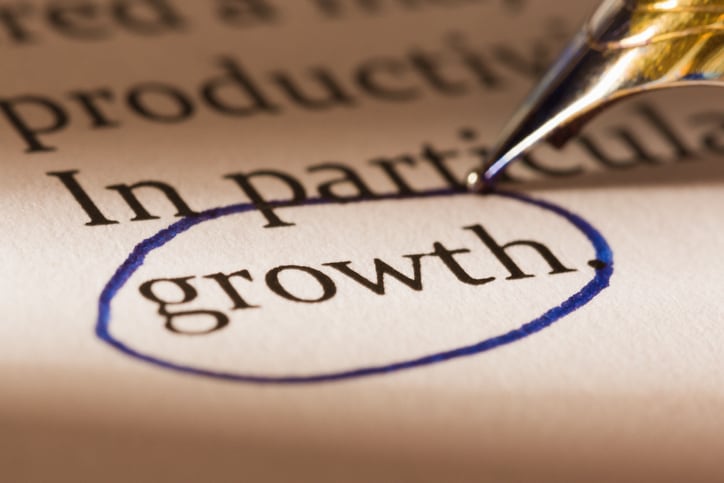 Dutch insect producer Protix raises €50m to expand internationally