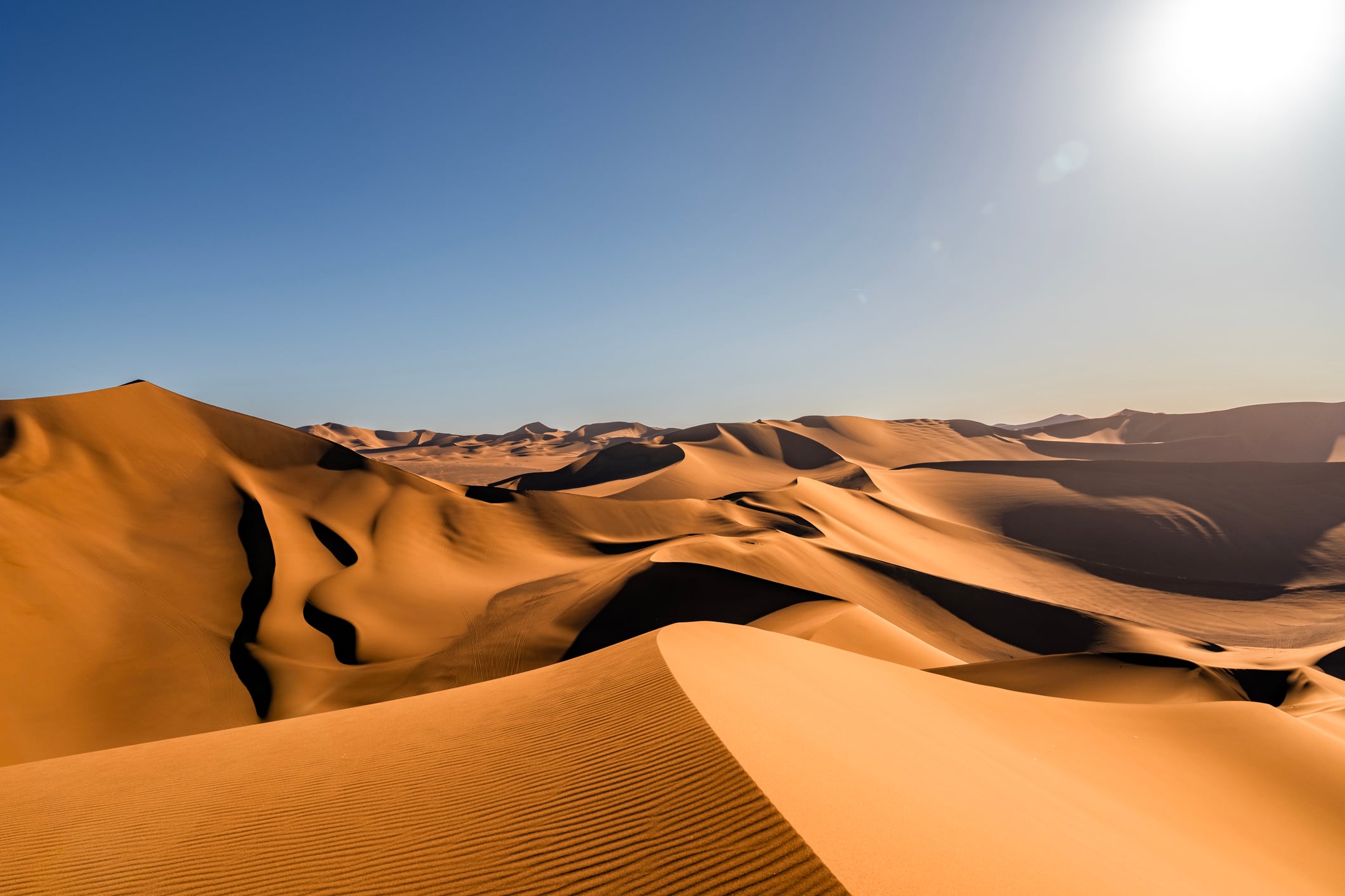 Saudi Arabia’s desert landscapes, where degraded, sandy soils pose major challenges for agriculture and large-scale greening efforts.
