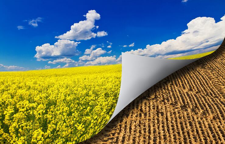 Regenerative-ag-could-reduce-volatility-in-the-feed-system.jpg