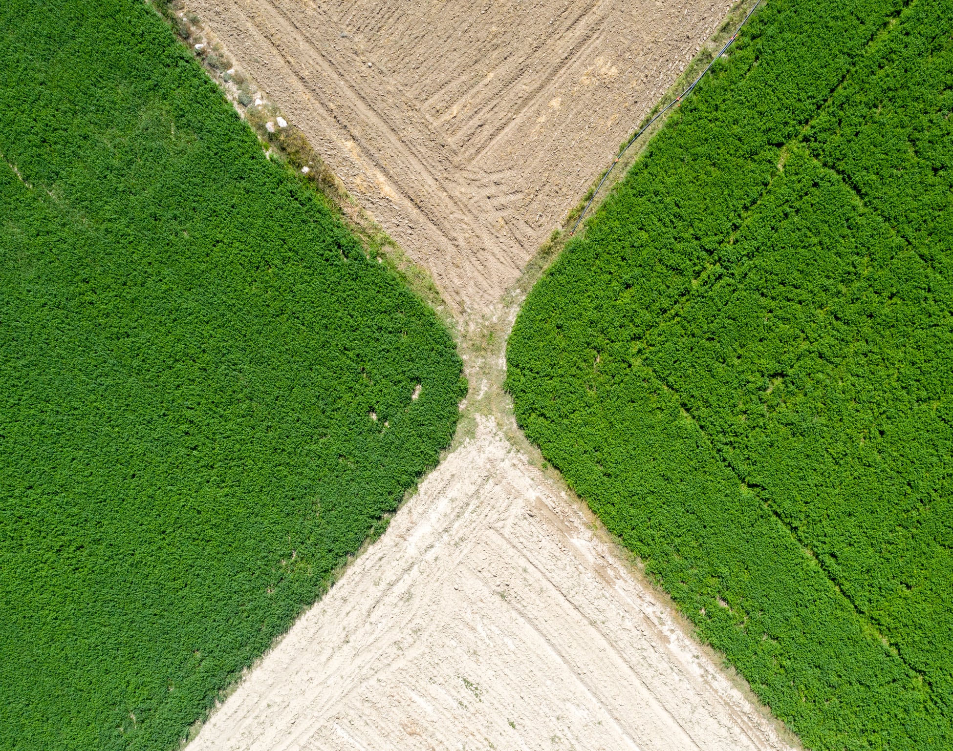 Fertiliser shock fuels interest in hyperspectral satellites for precision nitrogen use