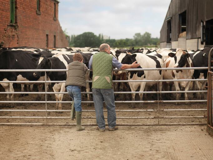Calling all innovators in dairy sustainability